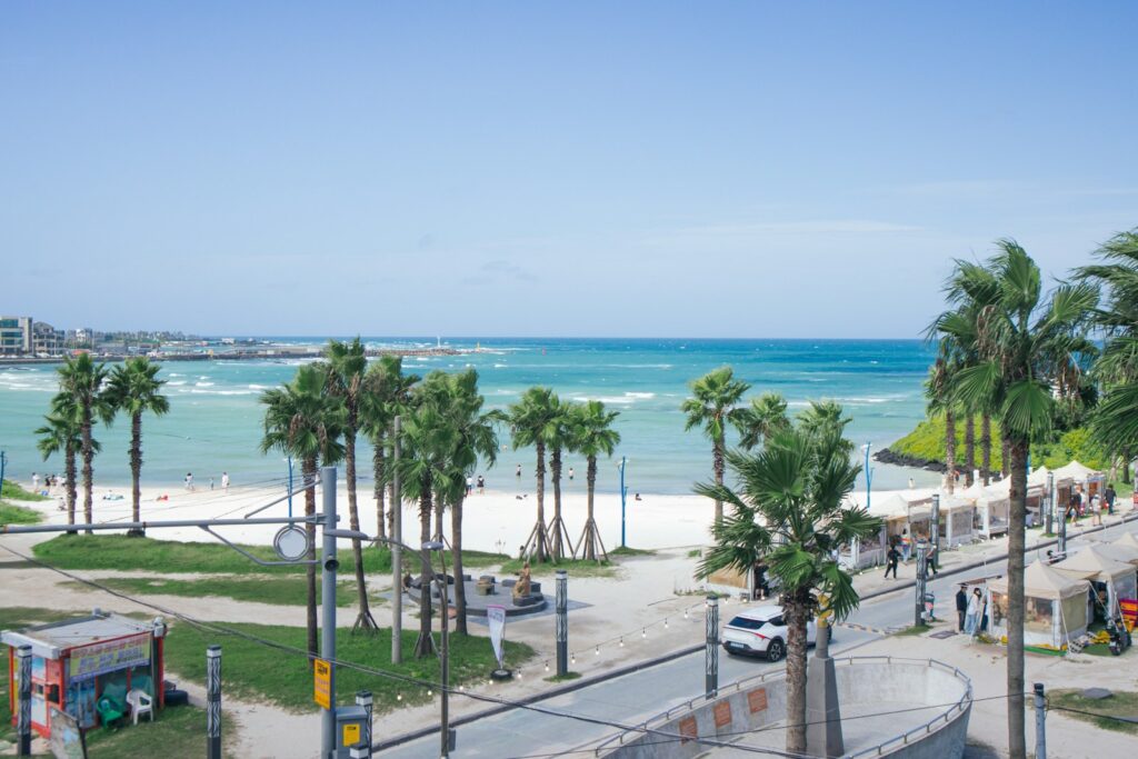 Palm-lined promenade overlooking the turquoise water at Hamdeok Beach, Jeju Island.