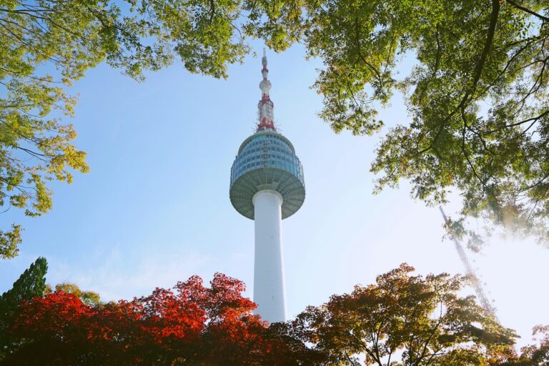 N Seoul Tower framed by autumn leaves on Namsan in Seoul.